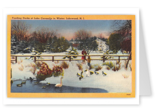 Lakewood New Jersey Lake Carasaljo Feeding Ducks