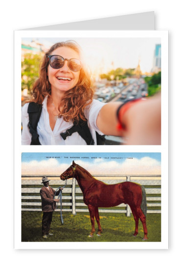 Lexington, Kentucky, Faraway Farm horse