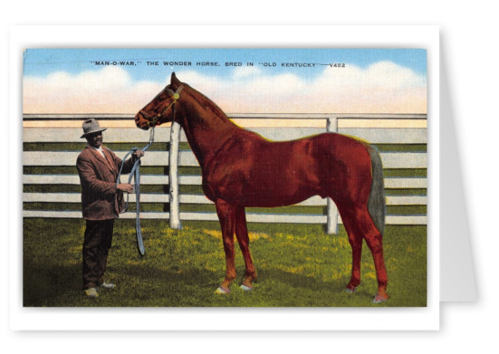 Lexington, Kentucky, Faraway Farm horse