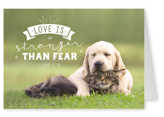 Postkarte Love is stronger than fear