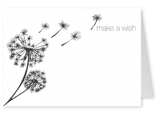 Over-night Design make a wish