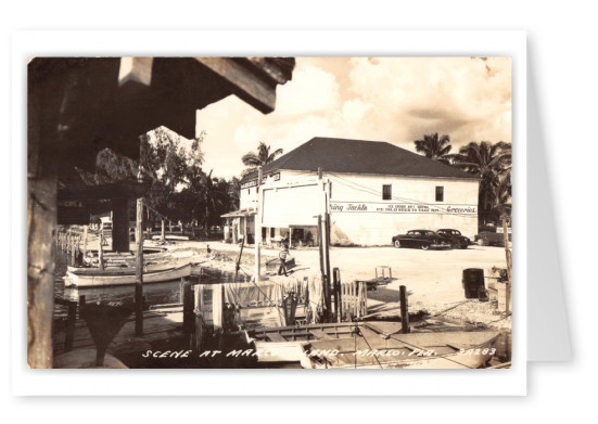 Marco, Florida, scene at Marco Island