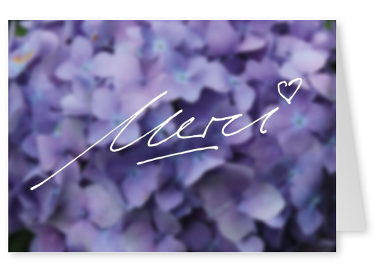 handgeschriebenes merci mit herz und lila violette blumen
