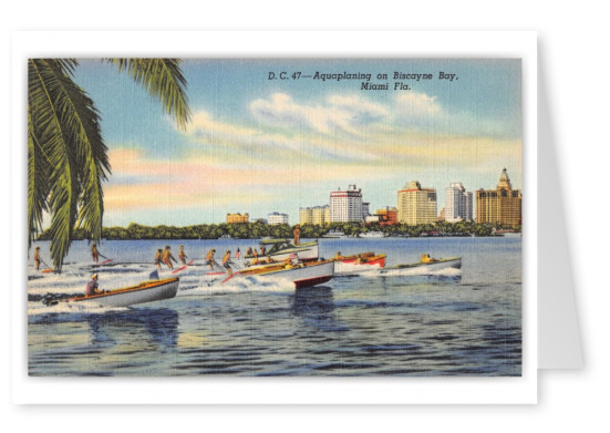 Miami, Florida, Aquaplaning on Biscayne Bay