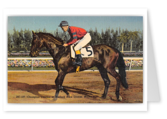 Miami Florida Hialeah Park Race Course Jockey on Horse