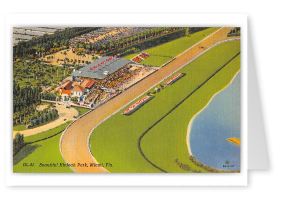 Miami Florida Hialeah Park Race Track Birds Eye View