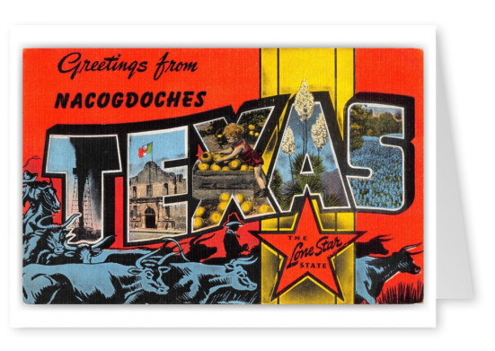 Nacogdoches Texas Greetings Large Letter Cattle Drive