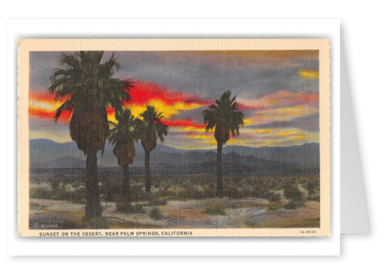 Palm Springs California Sunset on the Desert