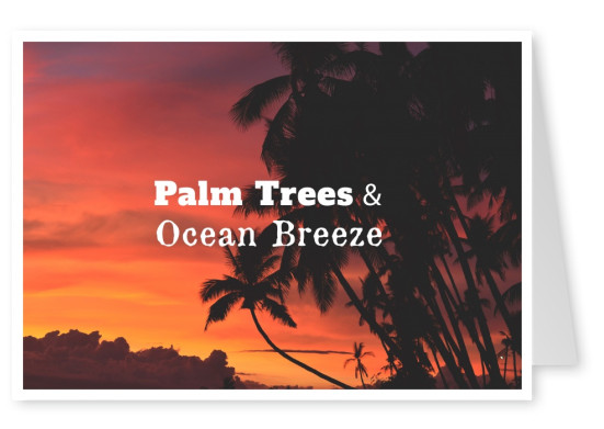 Postkarte Spruch Palm trees & ocean breeze