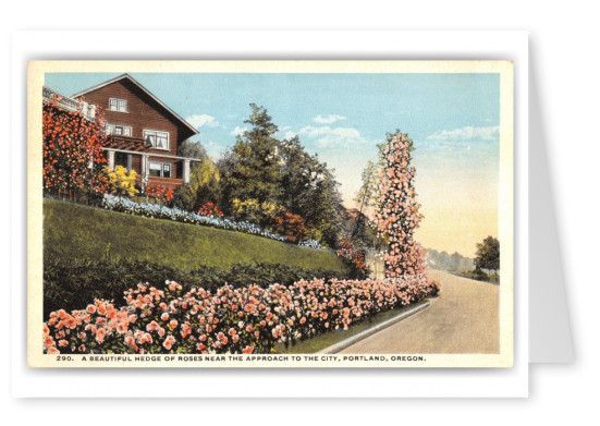 Portland, Oregon, Hedge of Roses