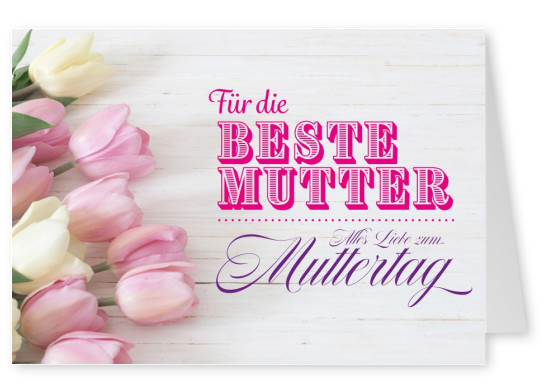 rosa Tulpen für die beste Mutter zum Muttertag