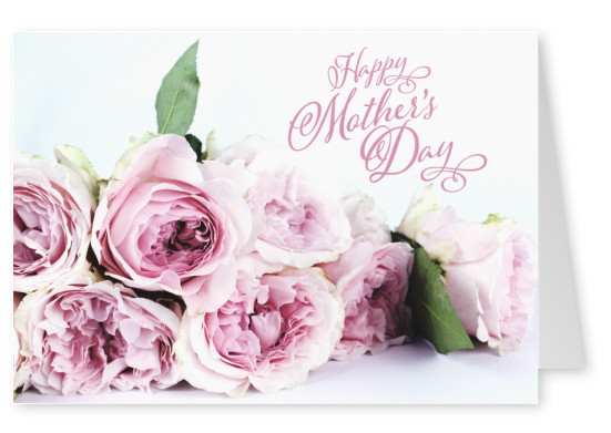 Muttertags Foto mit weißem Hintergrund und Rosen–mypostcard