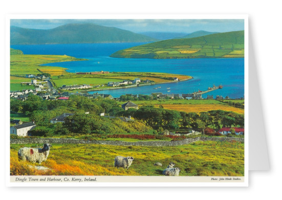 The John Hinde Archive Foto Dingle Town and Harbour, Co. Kerry