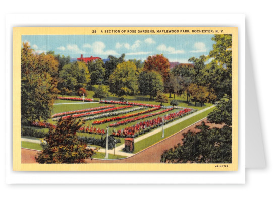 Rochester, New York, Maplewood Park Rose Gardens
