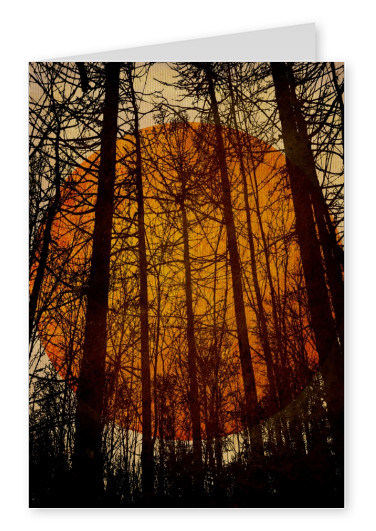 Kubistika schwarzer Wald mit roter Sonne