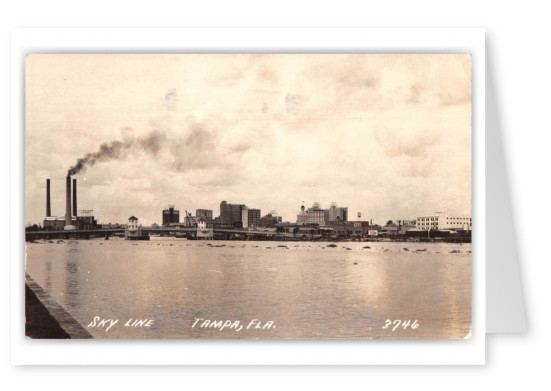 Tampa Florida Sky Line Scenic View