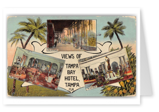 Tampa Florida Tampa Bay Hotel Views