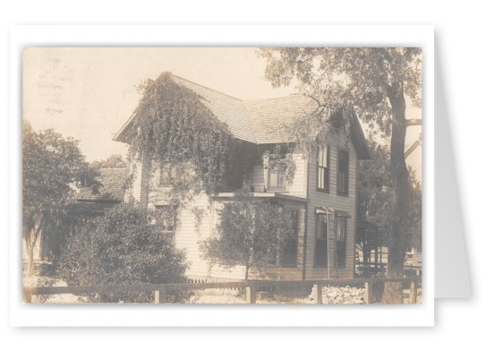 Tarpon Springs Florida Vine Covered Residence