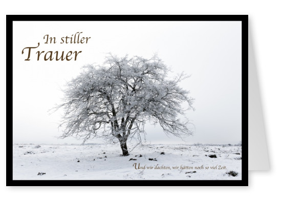 Trauerschriftzug auf Foto Baum im Winter