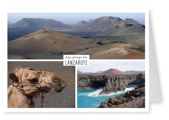 Dreier collage mit fotos von der insel Lanzarote