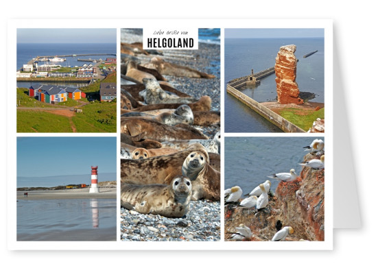 fünfer collage mit fotos von der nordseeinsel helgoland in schleswig holstein