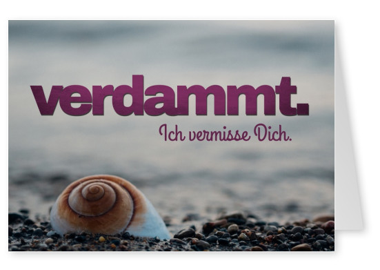 Foto von einer Muschel am Strand mit dem Spruch Verdammt. Ich vermisse dich.