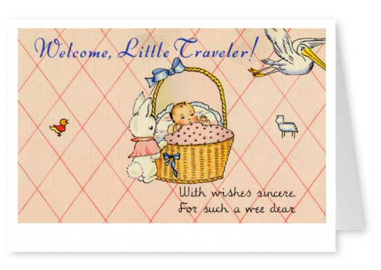 Curt Teich Postcard Archives Collection Welcome, little traveler