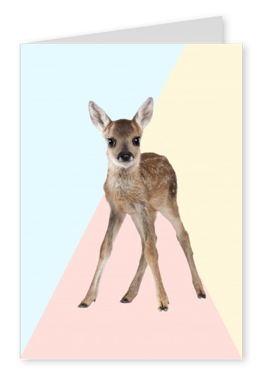 Kubistika Bambi mit Dreieck im Hintergrund