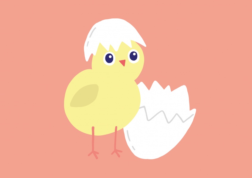 Happy Easter! Small cute chick