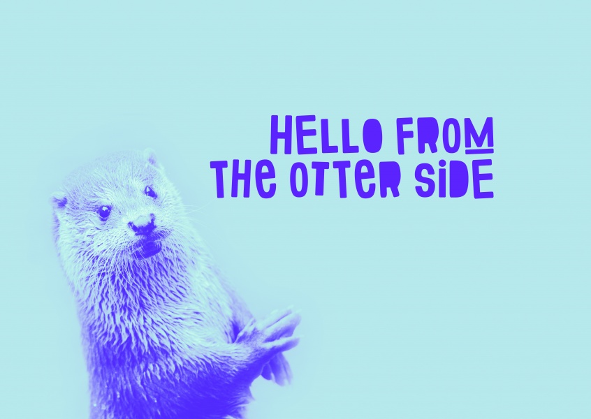 Otter erzählt einen Witz