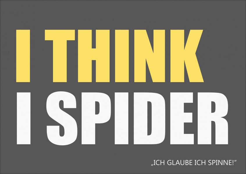 Lustiger Denglisch-Spruch: I think I spider