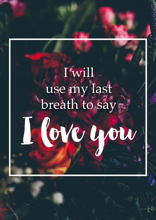 i will love you till my last breath quotes