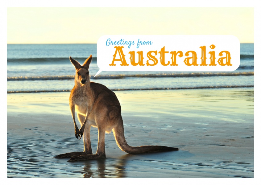  Kängeru am strand greetings from australia postcard