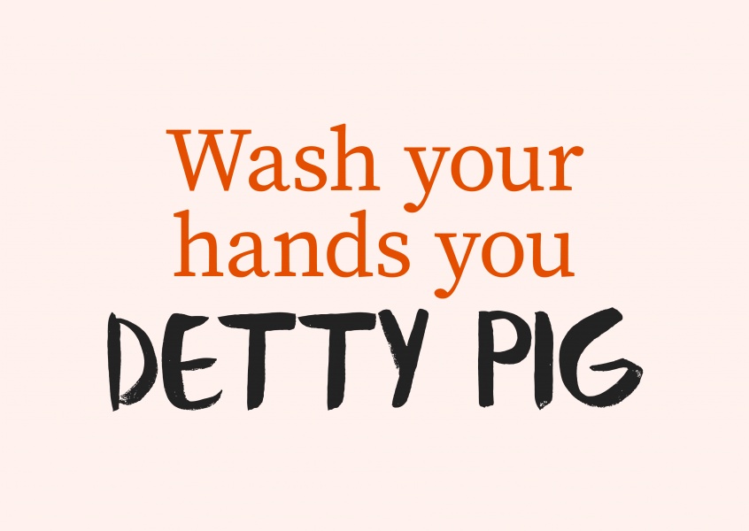 lave suas mãos que você detty porco
