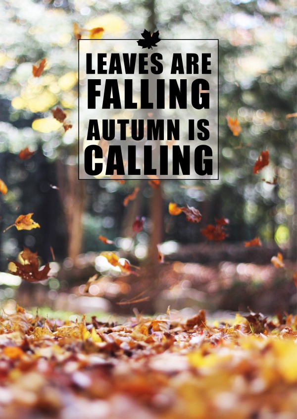 quote card Leaves are falling autumn is calling