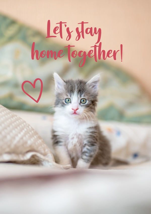 Let's stay home together!