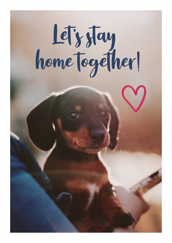 Let's stay home together!