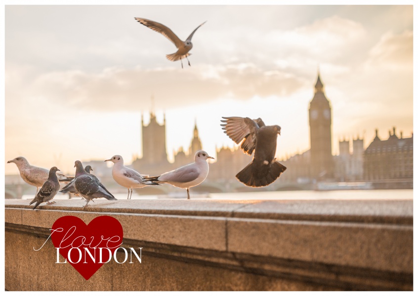 London Skyline with doves