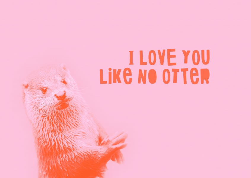 Otter sagt Ich Liebe DIch