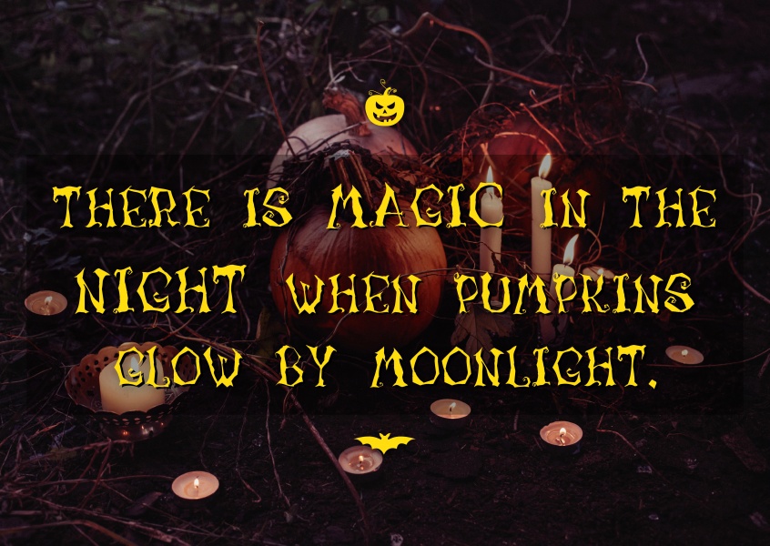 There is magic in the night when pumpkins glow by the moonlight