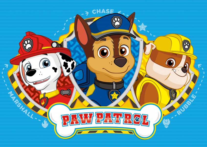PAW Patrol postcard