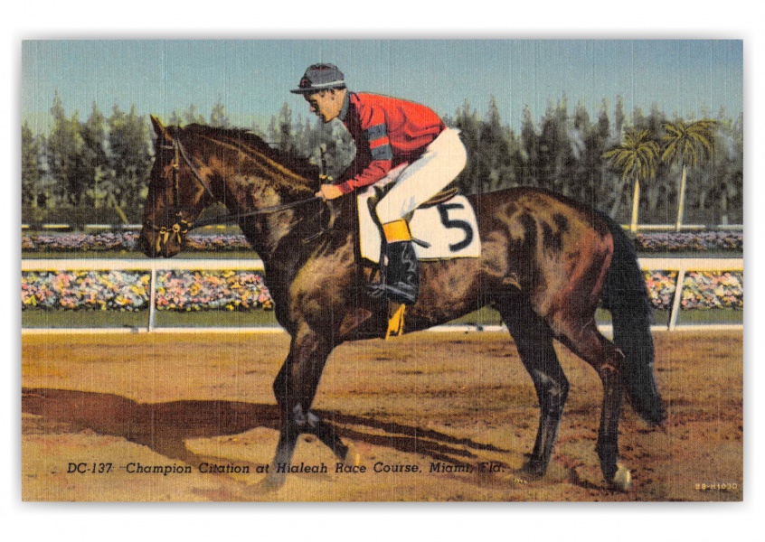 Miami Florida Hialeah Park Race Course Jockey on Horse