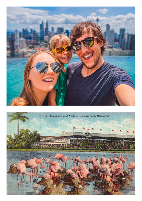 Miami Florida Hialeah Park Race Track Grand Stand and Flamingo Nests