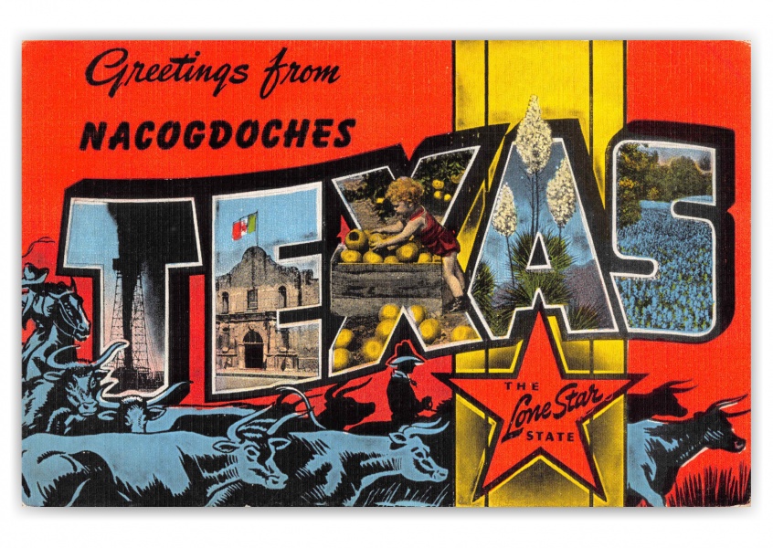 Nacogdoches Texas Greetings Large Letter Cattle Drive