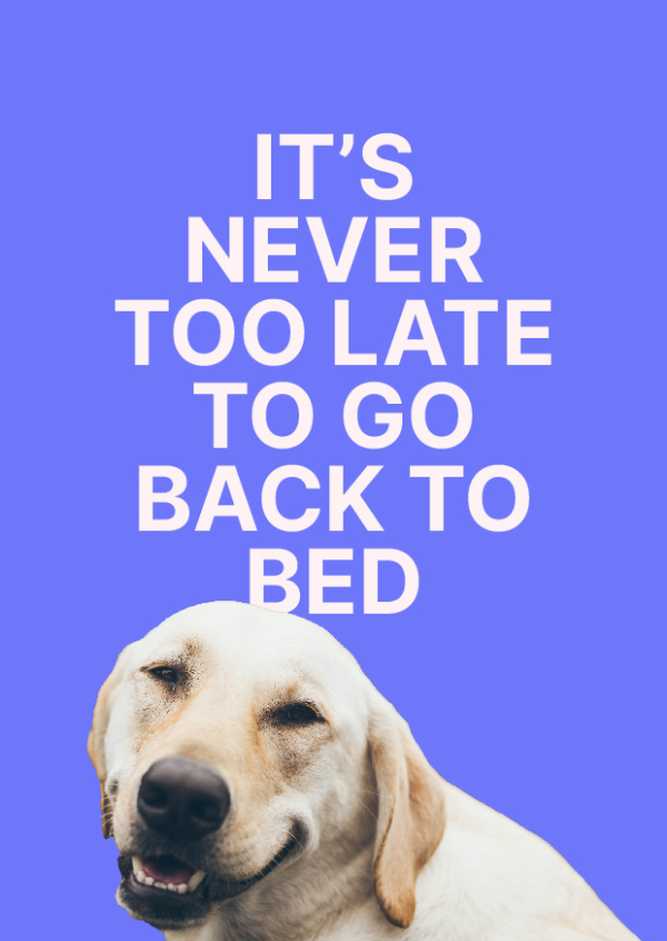 It's never too late to go back to bed