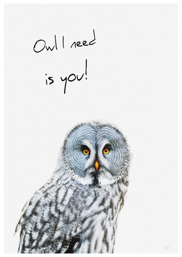 Owl I need is you