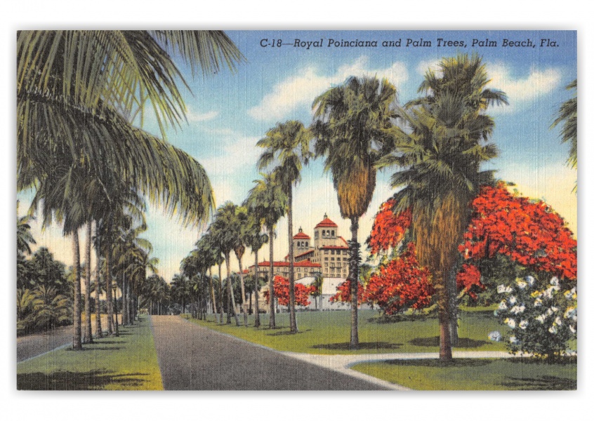 Palm Beach, Florida, Royal Poinciana and Palm Trees