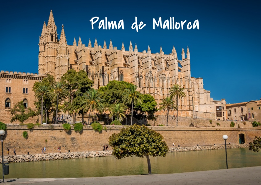 Foto von Palma de Mallorca mit La Seu-Kathedrale und Palmen–mypostcard