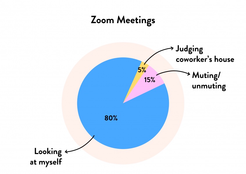 Pie chart - Zoom Meetings