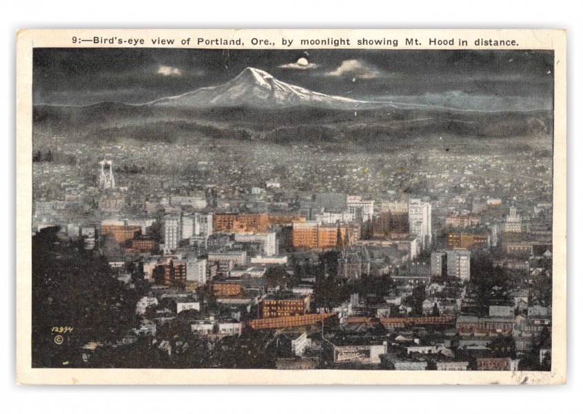 Portland, Oregon, birds-eye at night